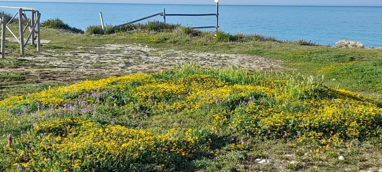 Villino Il Melograno Villa Torre Specchia Ruggeri Exterior foto